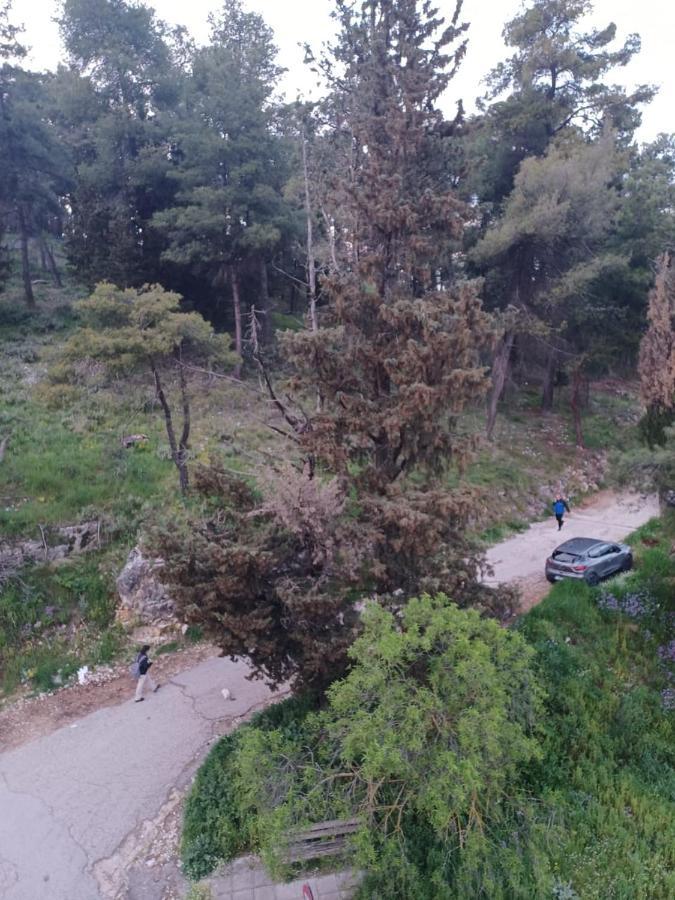 이오아니아 Ένα Μέρος Για Ήσυχες Διακοπές 아파트 외부 사진