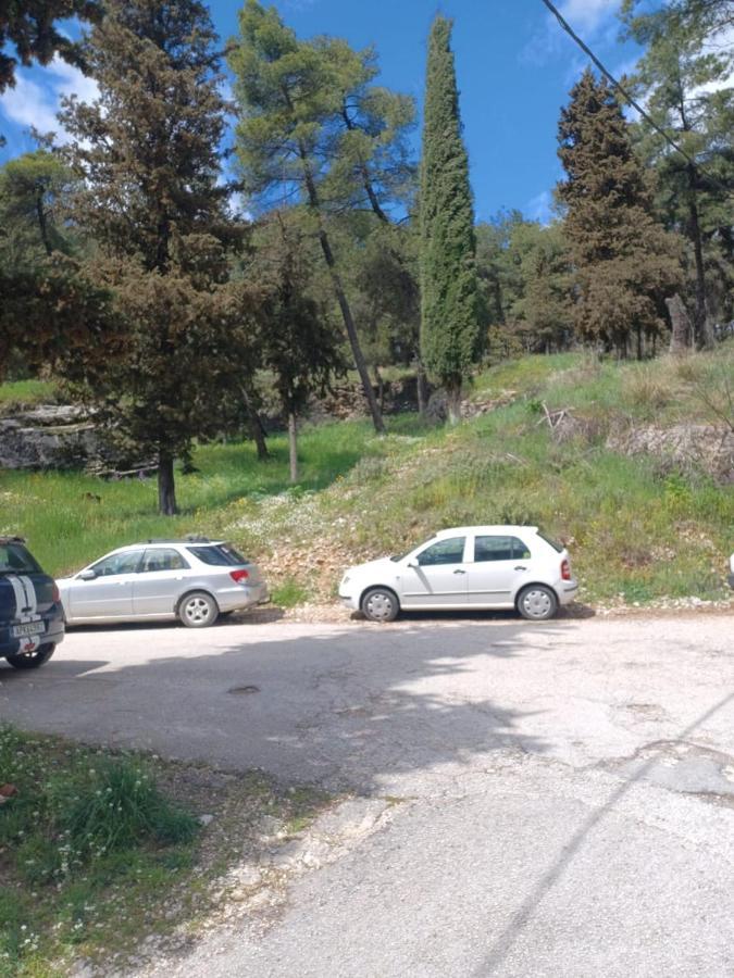 이오아니아 Ένα Μέρος Για Ήσυχες Διακοπές 아파트 외부 사진